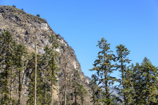 螺沟景区山景