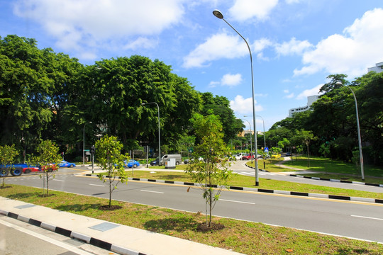 新加坡 马路街景