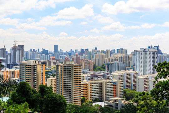 花芭山 高楼大厦