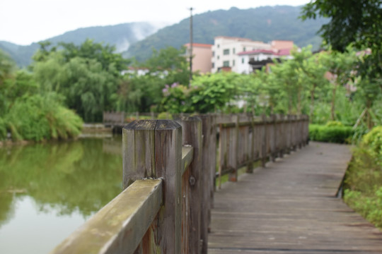 湖畔 栈道