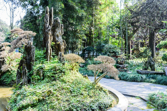 杜甫草堂园林风景