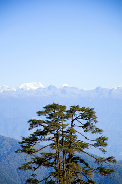 喜马拉雅山脉不丹视角
