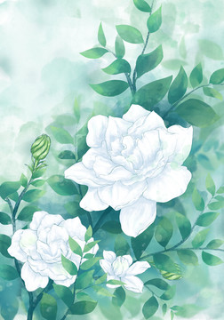 水彩清新梔子花