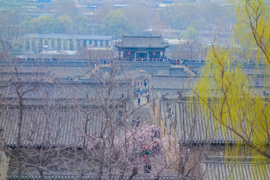 王家大院