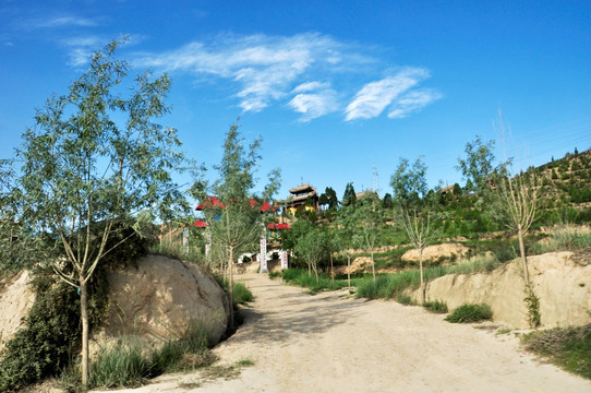 西北乡村风景