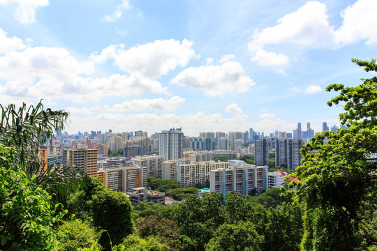 新加坡 花芭山