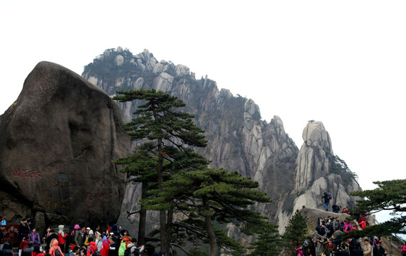 风景名胜黄山迎客松