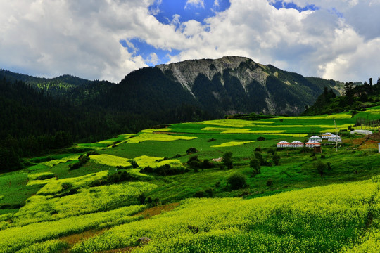 扎尕那美景