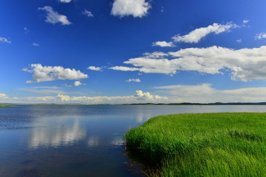 花湖美景