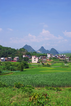 夏日 乡村