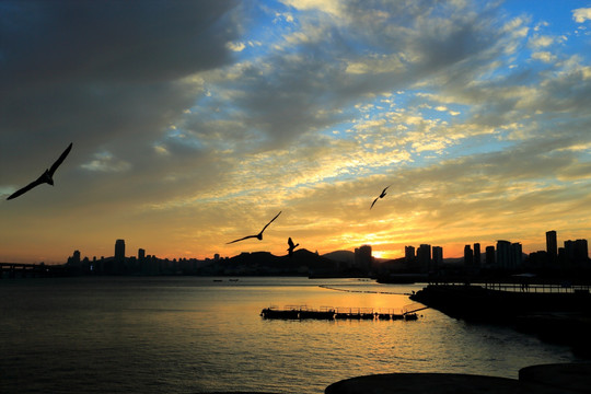 大连 星海广场 夕阳