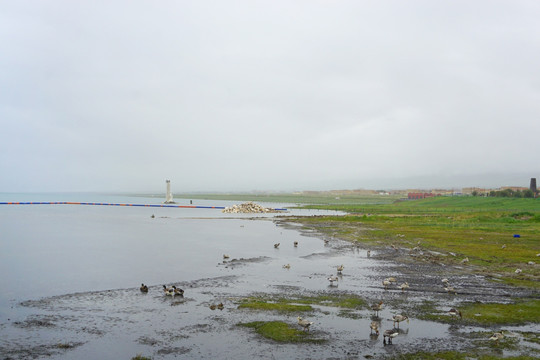 雨天的青海湖沿岸风光