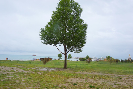 雨天的青海湖沿岸风光