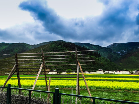 藏区田园风光