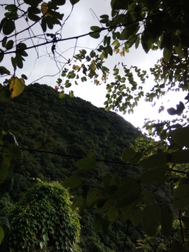 山色天空