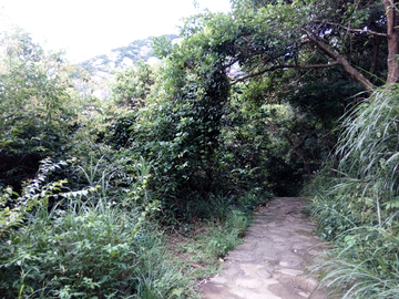 山路风景