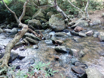 溪水风景