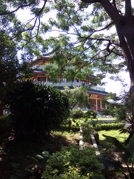 寺院绿树