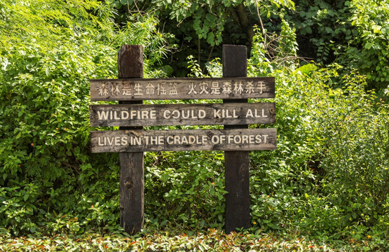 公园导示 森林导示