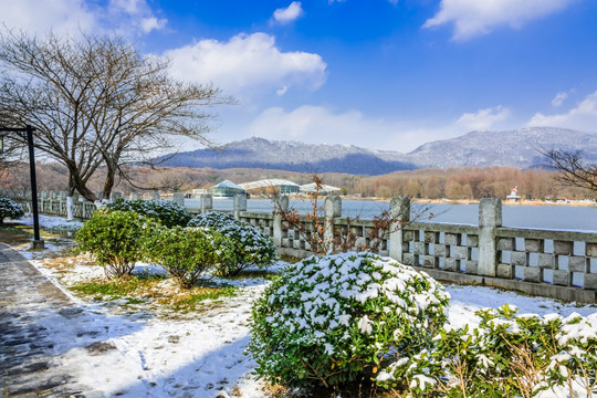 前胡雪后美景