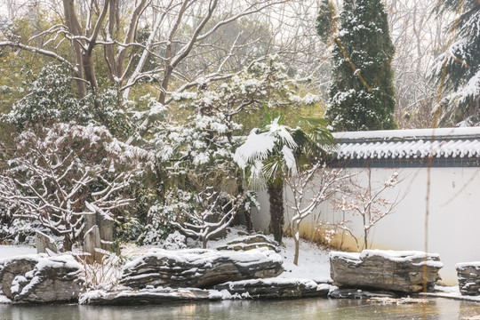 红楼艺文苑雪景