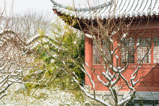 红楼艺文苑雪景