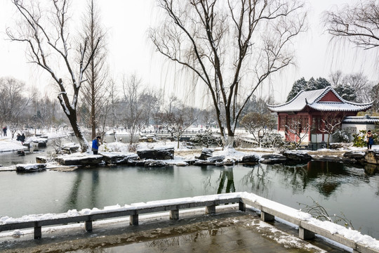 红楼艺文苑雪景