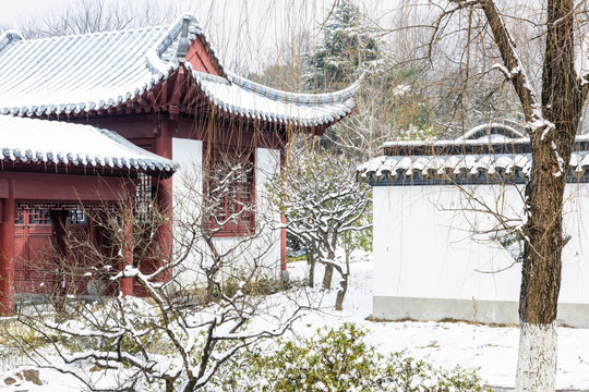 红楼艺文苑雪景