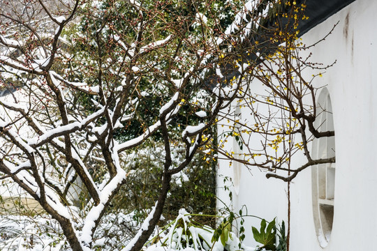 红楼艺文苑雪景