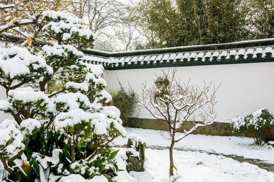 园林庭院雪景