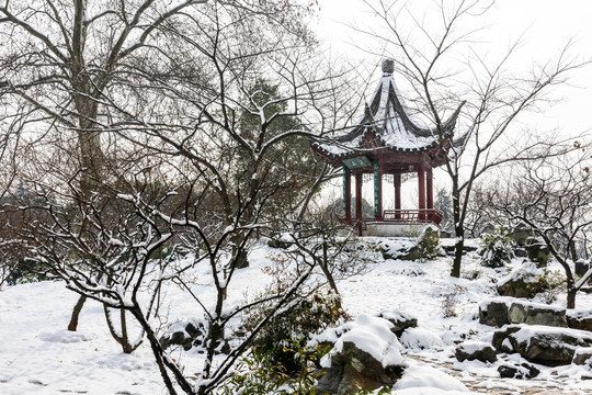 明孝陵景区雪景