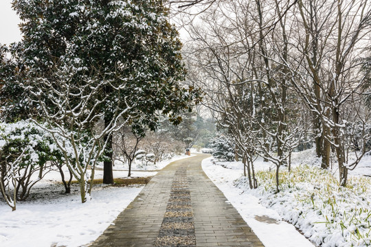 景区道路雪景