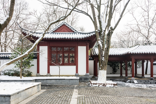 红楼艺文苑雪景