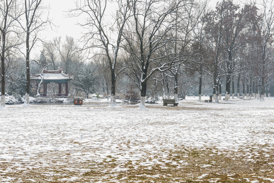 明孝陵雪景