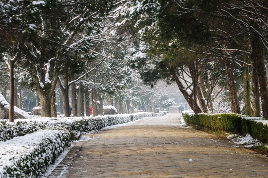 明孝陵神道雪景