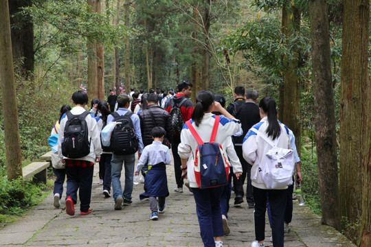 雁荡山灵岩景区游人