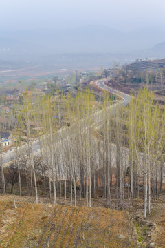 乡村 柏油路