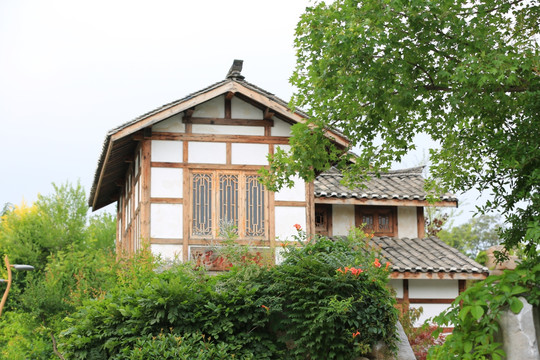 木屋 别墅 庭院