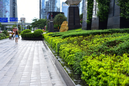 都市绿化街景