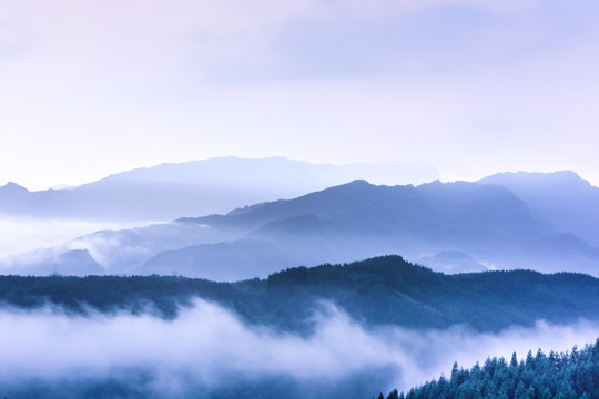 复兴村茶山 云海日出