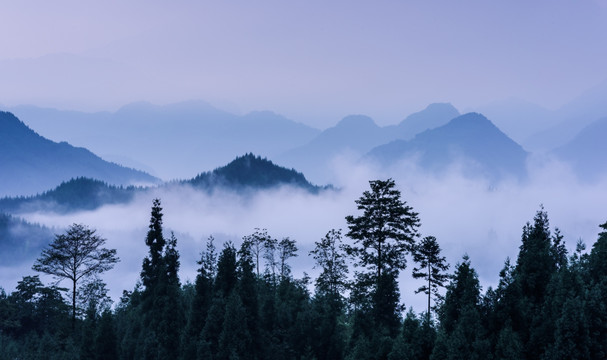 复兴村茶山 云海日出