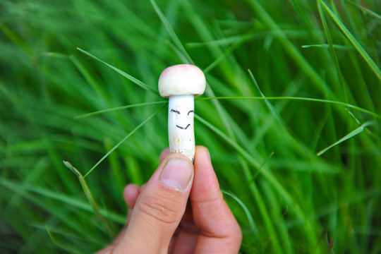 笑脸小蘑菇