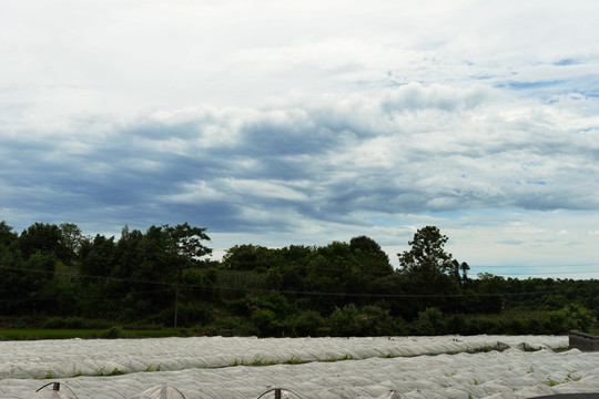 蓝天 白云 风车 风景 乡村