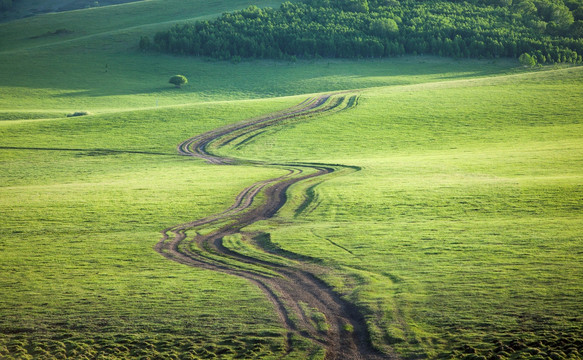 草原上的道路