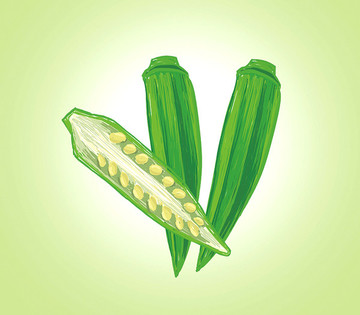 秋葵插畫三