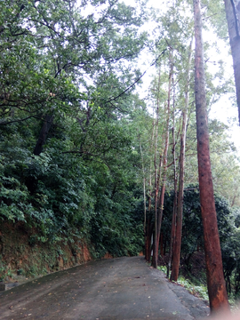 休闲山路