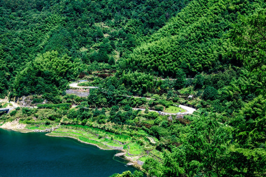 盘山公路