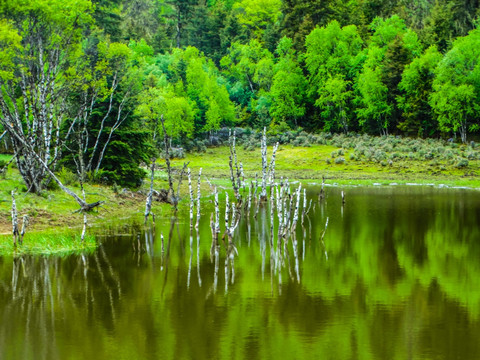 普达措湿地