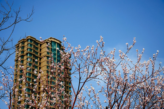 居住环境