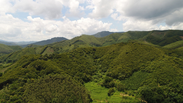 乡村风景